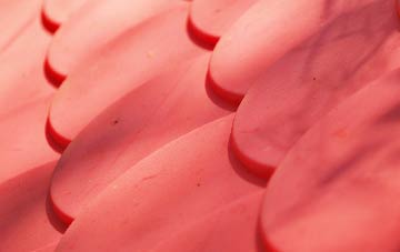 Bluebell plastic roof costs